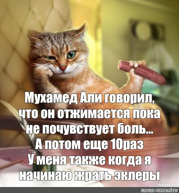 Кот говорит але