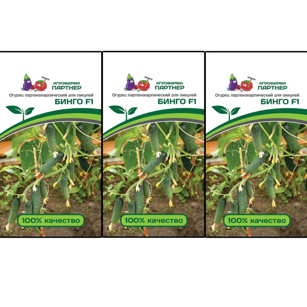 огурцы семена бинго. огурец партенокарпический бинго f1. огурцы сорт бинго. огурец партенокарпический бинго f1. бинго ф 1 сорт огурцов.