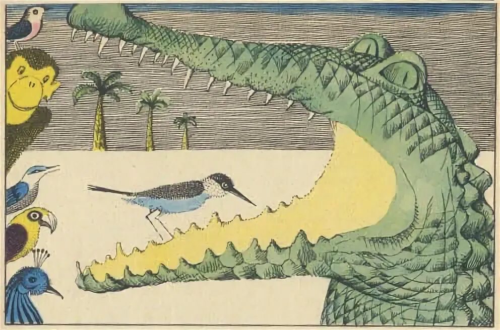 Птичка которая чистит зубы. Крокодил и птичка Тари. Птичка Тари 1976. Крокодил из ма Тари кари. Крокодил и птичка Тари симбиоз.