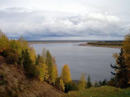 Устье реки печора