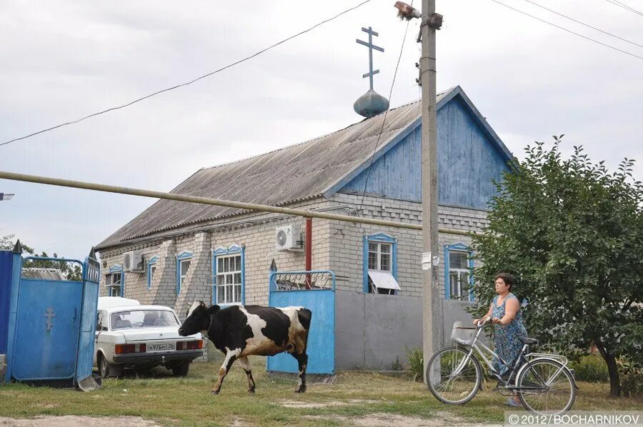 Станица Староаннинская Новоаннинский район. Станица Староаннинская Волгоградская область. Станица Староаннинская природа. Староаннинское сельское поселение Новоаннинского района. Погода в староаннинской