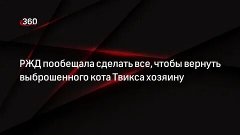 Ржд выбросили кота