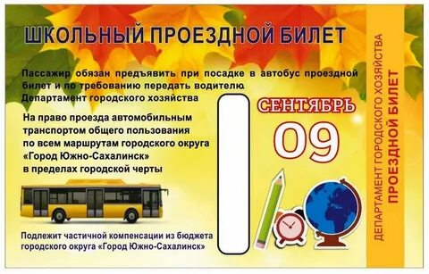 Детский школьный проездной
