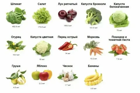 Где больше всего содержится витамина б