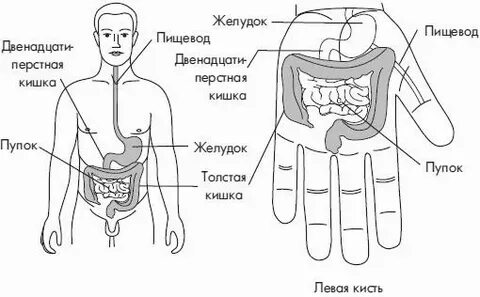 12 находится