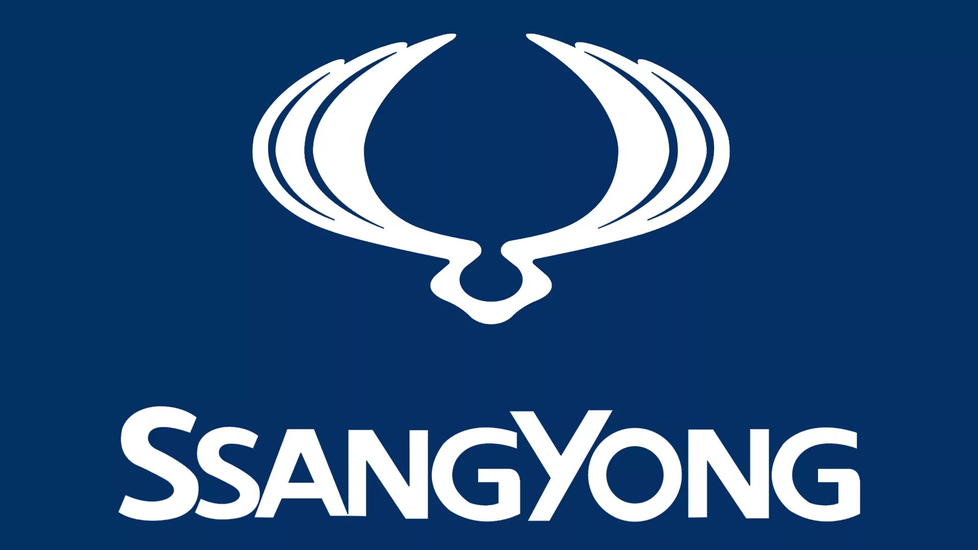 Значок саньенг. SSANGYONG лого. Актион логотип. SSANGYONG надпись. Саньенг Кайрон логотип.