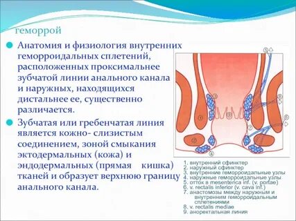 Криптит прямой кишки симптомы и лечение