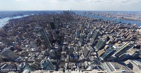 World's largest