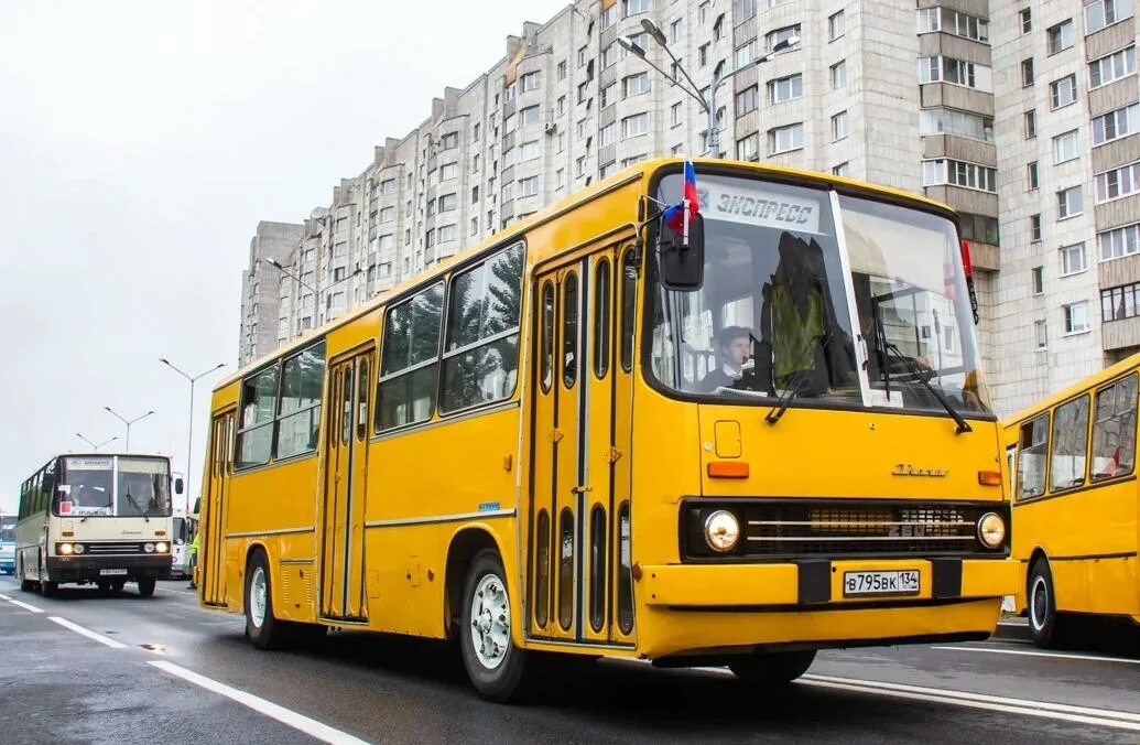 Автобус икарус 260. Икарус 260. икарус 260.06. икарус 260.50. икарус 260 т-1.