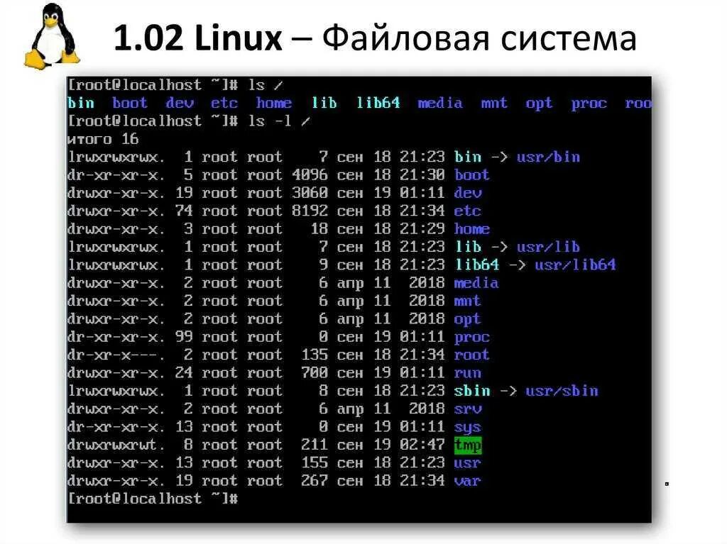 Корневая система linux. Структура папок ос linux. файловая система линукс схема. файловая система ubuntu. файловая система в oc linux.