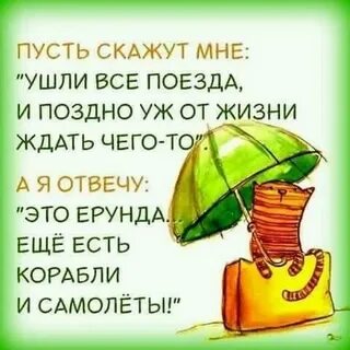 i?id=94213269b24bd41562b4ab3edb2775a4ed91e384-5086277-images-thumbs&n=13