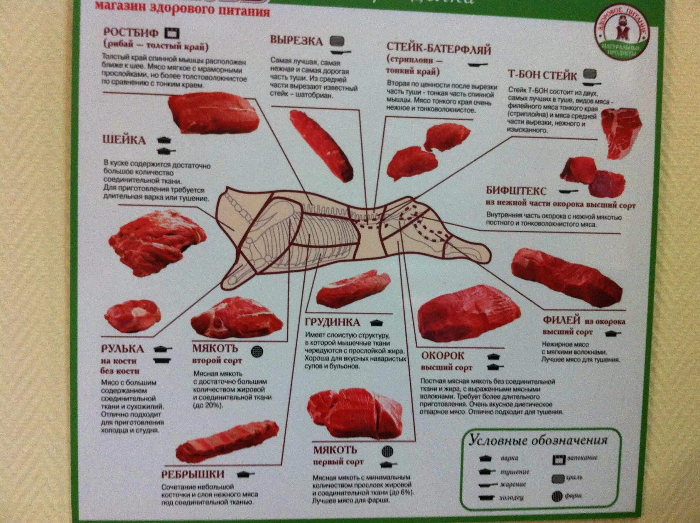 Лучшая часть мяса говядины. Части говяжьей туши схема и описание. Схема разделки говяжьей туши с названиями частей. Классификация схема разруба говяжьей туши. Разделка мяса свинины схема.