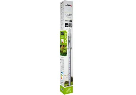 Aquael plant