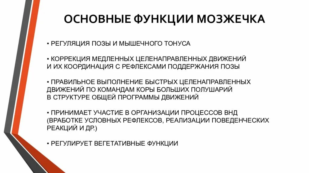 Функции мозжечка. Основные функции мозжечка. Какие основные функции выполняет мозжечок. Назовите функции мозжечка.