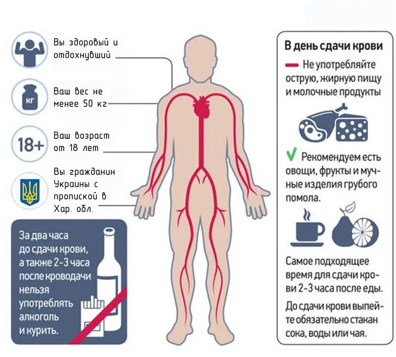 Чем полезно донорство крови. Памятка донора плазмы крови. Что нельзя после сдачи крови. Чем полезна сдача крови. После сдачи крови на донорство.