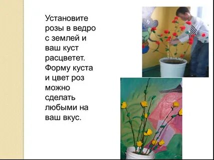 Поставь rose