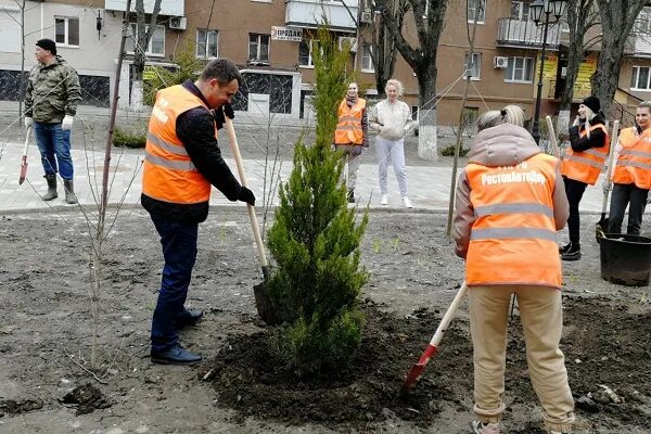 Ростовавтодор. Деревья в Азове. Город Азов день древонасаждения. РОСТОВАВТОДОР Азов. РОСТОВАВТОДОР сотрудники.