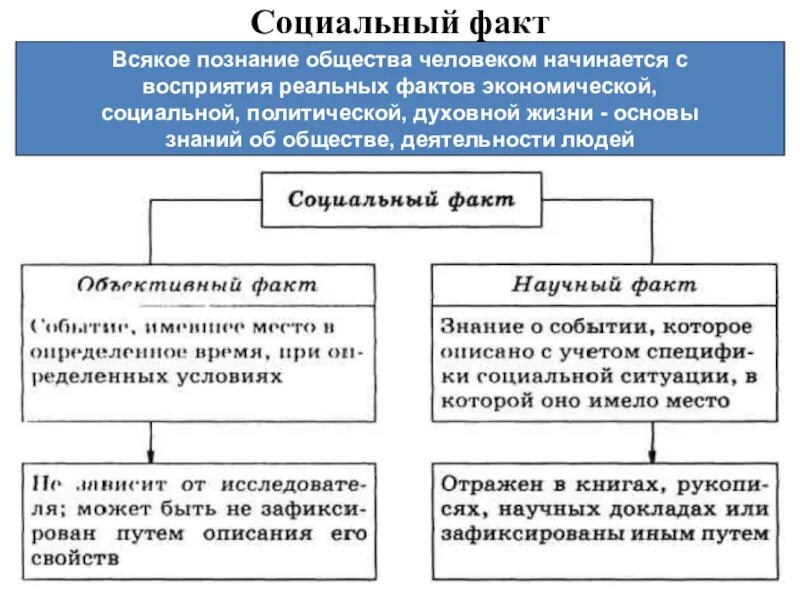 Основы познания общества. Социальный факт. Примеры социальных фактов. Социальный факт это в обществознании. Факты социальной жизни примеры.