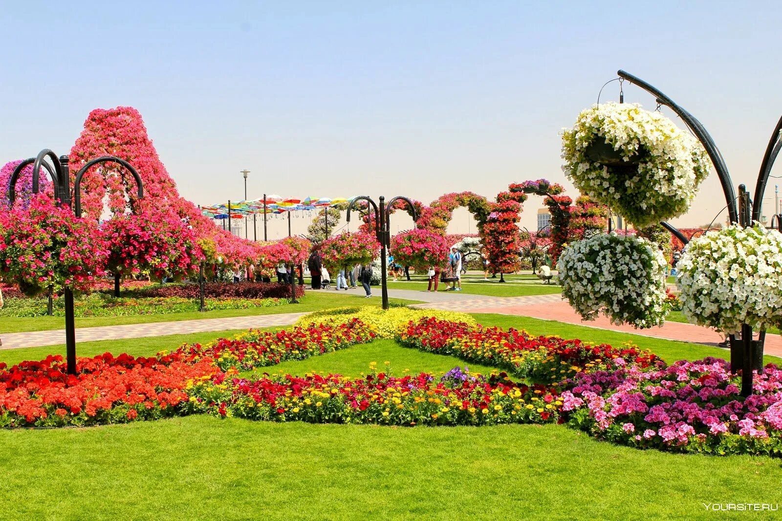 Парк какой прекрасный. Миракл Гарден Дубай. Миракл Гарден парк цветов Дубай. Дубай парк Гарден Павлины. Парк цветов (г. Аль-Айн).