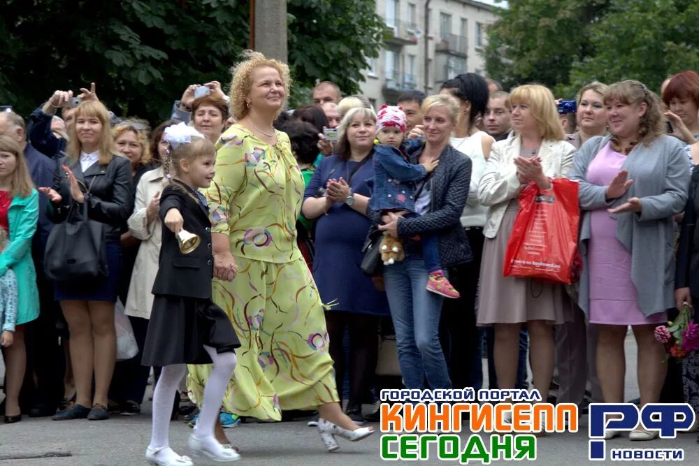 Г. Криминальный кингисепп. Кингисепп рф. Погода в кингисеппе на неделю. Давление сейчас кингисепп.