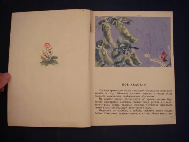 Легкомысленный хвастун. А Юстус Боб-хвастун книга 1956 года. Цветок хвастун. Хвастуны книга. Хармс д хвастун Колпаков.