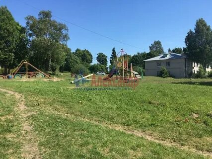 Населенный пункт д камышевка ясная хомяково