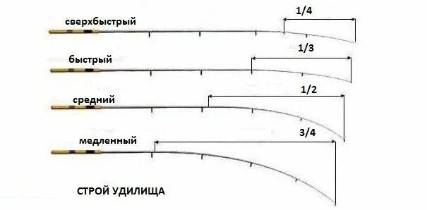 Классификация фидерных удилищ таблица. Строй спиннинга Медиум фаст. Классификация Строй фидерного удилища. Medium fast Строй удилища. Строй fast