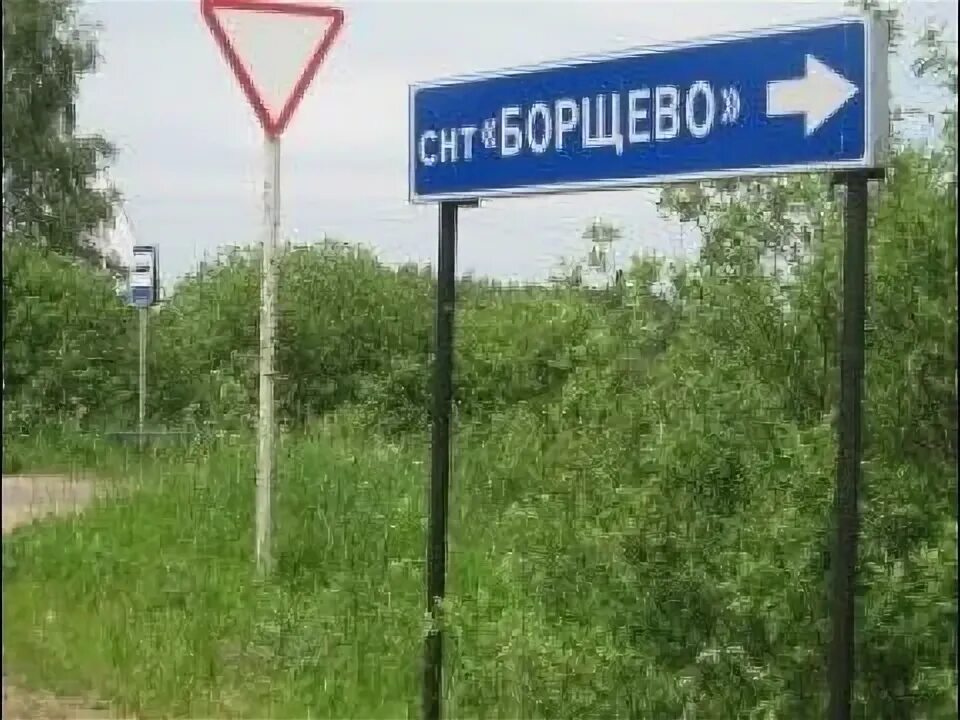 Снт борщево основано в 1992. Погода борщево клинский. Погода борщево клинский. Снт борщево. Погода борщево клинский.