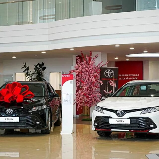 тойота приус гибрид 2020. легковой автомобиль rmz city toyota yaris. тойота ярис гибрид 2012. тойота сити а остальные. минивэн toyota sienna 2019.
