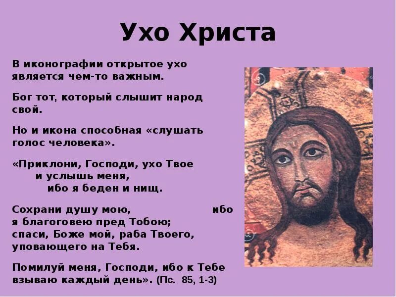 Твое ухо это чрево. Твое ухо это чрево. Леонардо да винчи рисунок эмбриона. Беруши speedo. Твое ухо это чрево.