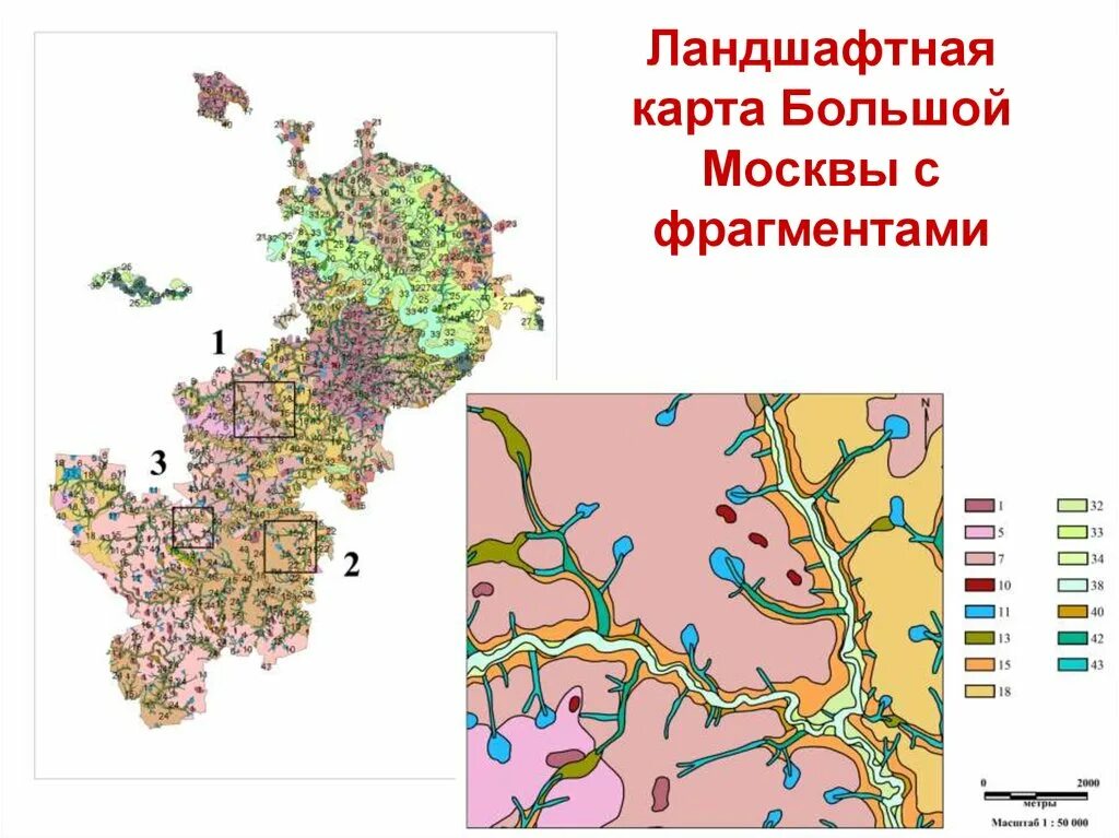 Рельеф московской карта. Ландшафтная карта. Ландшафтная карта Москвы. Ландшафт Москвы карта. Региональные ландшафтные карты.