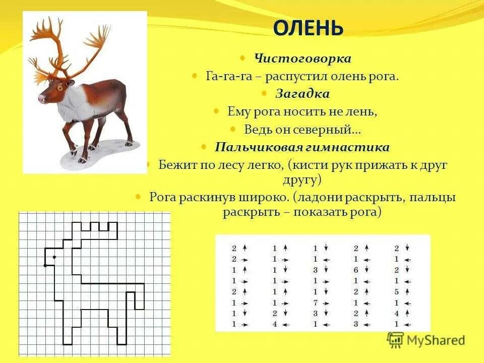 Пальчиковая гимнастика олень. Загадка про оленя для детей. Загадка по оленя. Загадка о олене. Загадка про олененка.