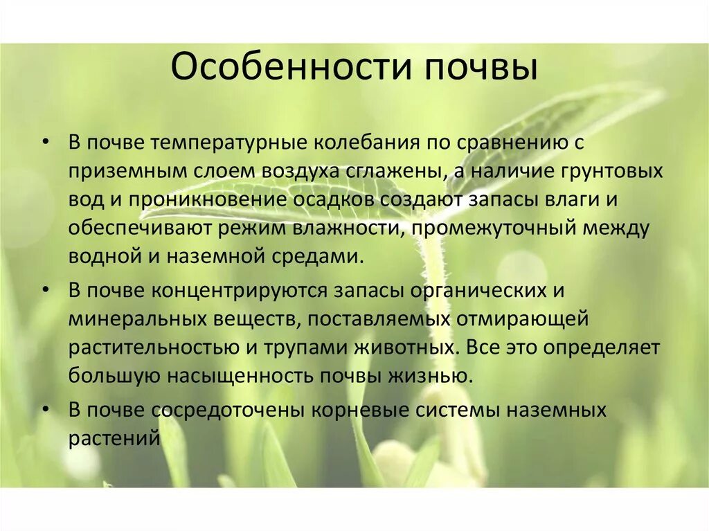 Почва свойства среды. Особенности почвенной среды. Особенности почвы. Особенности почвенной среды обитания. Характеристика почвенной среды.