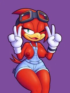 "With Eggman defeated, it’s time to have some fun!" 