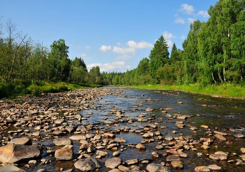 Веб рек. Исток реки Юрюзань. Река купури. Юрюзань пруд. Пляж Юрюзань.