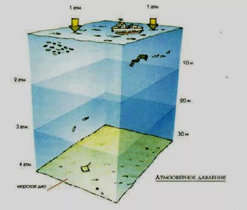 Давление воды на глубине. Давление под водой. Давление воды на глубине 1000 метров. Давление воды на глубине 100 метров. Давление воды на 30 метрах