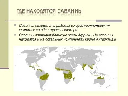 Географическое положение редколесья