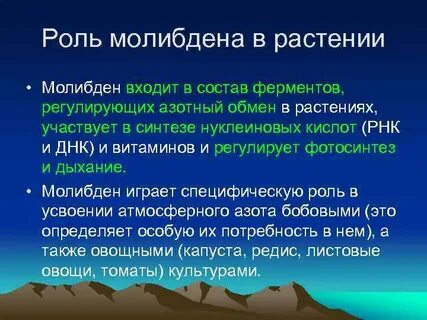 Роль молибдена в организме человека