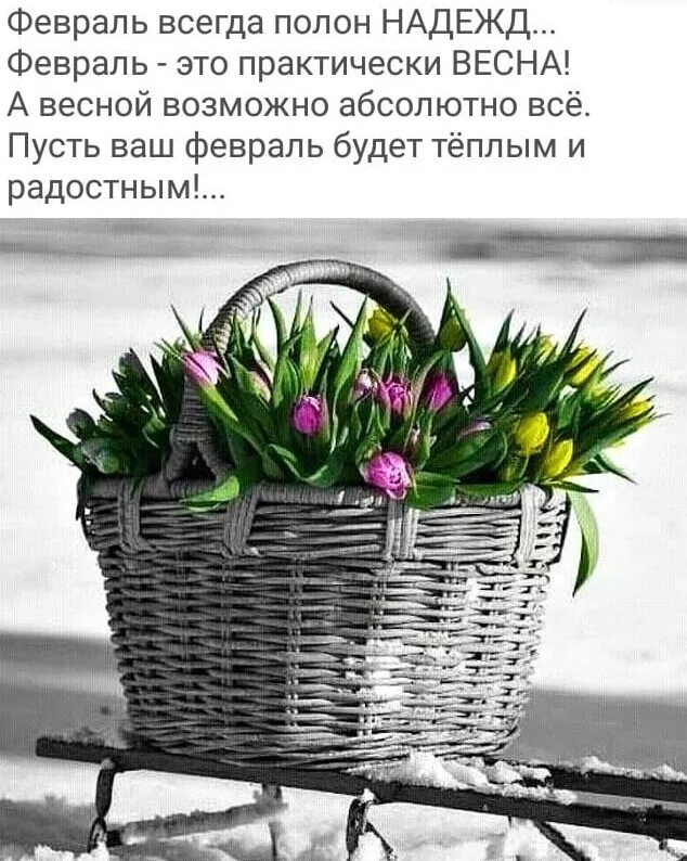 Цветы в снегу. Надеяться февраль. Цитаты про февраль. Стихи про февраль короткие красивые. С последним днем зимы.