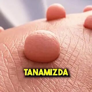 Порно жұлдыз Свит Лана Дель Рей