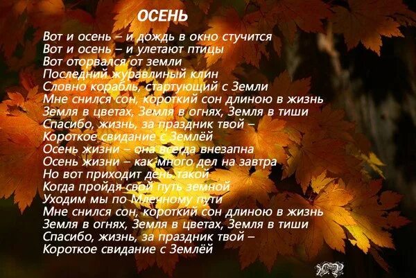 Стихи про осень. Стихи про осень красивые. Стихотворение на тему осень. Золотая осень стих.