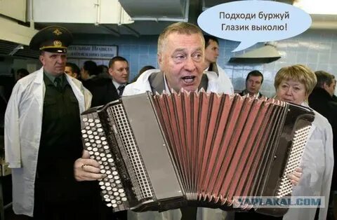 Подходи буржуй