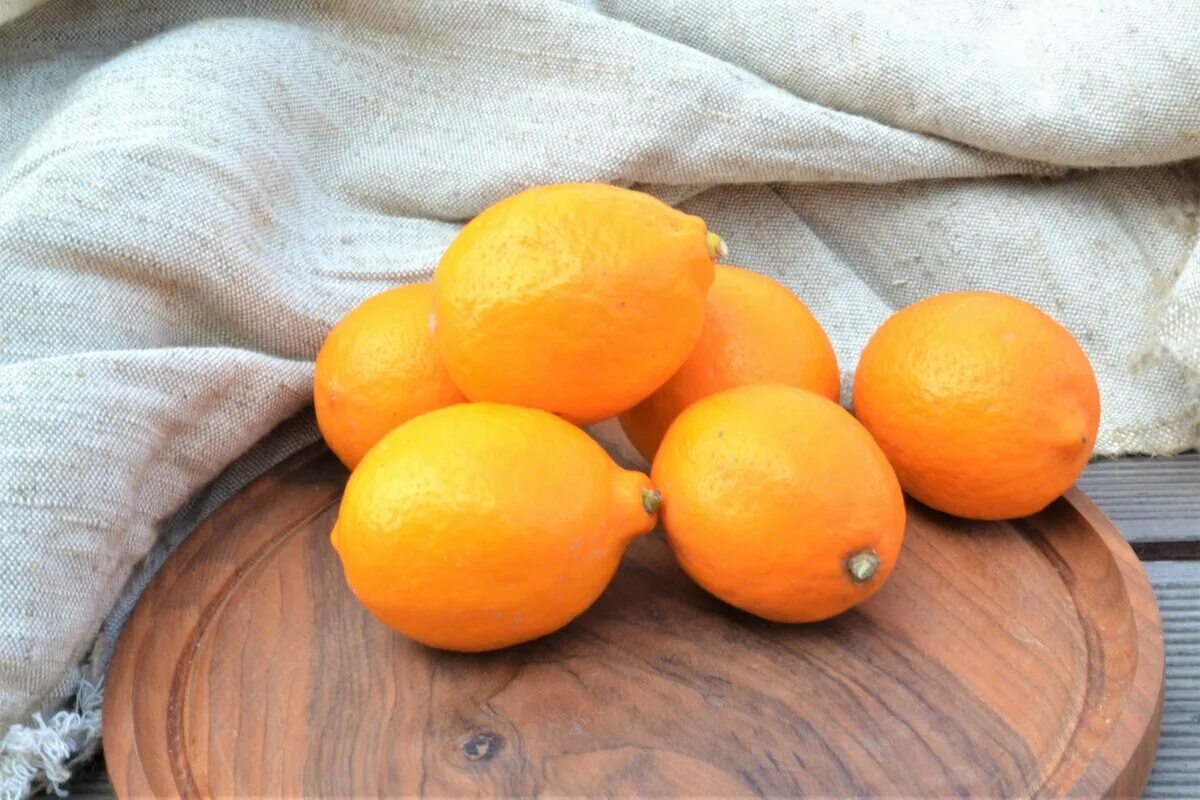 Купить лимон с доставкой. Лимон оранжевый Узбекистан. Узбекистанский лимон. Узбекский лимон оранжевый дерева. Оранжевый лимон из Узбекистана.