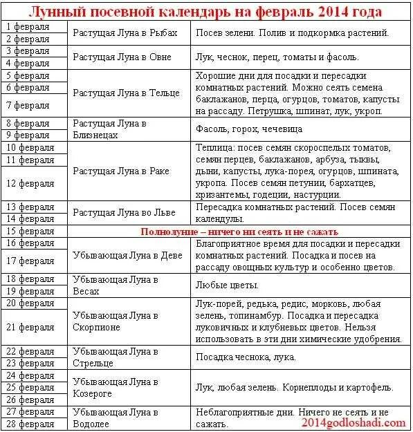 В какие дни нельзя сажать. Лунный посевной календарь на февраль посадка перца. Лунный посевной календарь Нафе. Лунный календарь на февраль посевной. Таблица посева семян на февраль месяц.