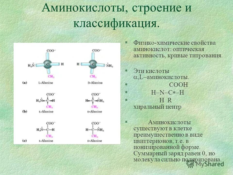 Структура Альфа аминокислоты. Строение Альфа аминокислот. Структура природных аминокислот.