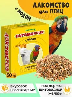 Зоомир для птиц