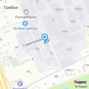 Грибки мытищи