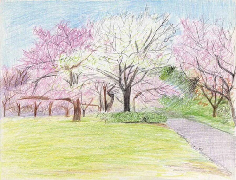 Рисование весеннего пейзажа. Весенний пейзаж цветными карандашами. Весенний пейзаж карандашом. Пейзаж цветными карандашами для детей.