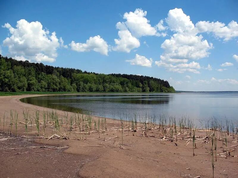 Майна месту. Старомайнский залив Старомайнский залив. Старомайнский залив Ульяновской. Ульяновск Старомайнский залив. Старая майна Ульяновская область Старомайнский район.