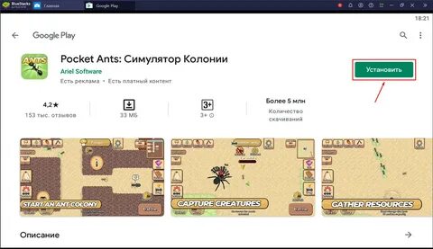 Pocket ants симулятор